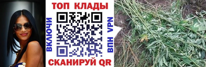 Продажа наркотиков Верея Cocaine ГАШИШ Конопля