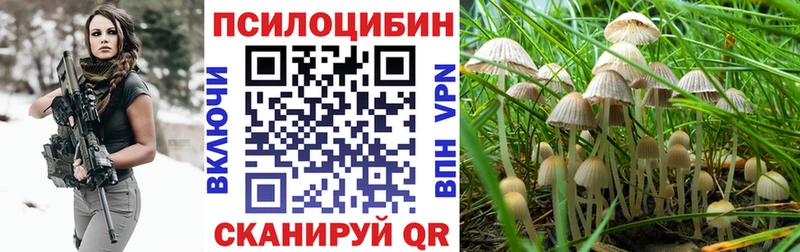 Галлюциногенные грибы мицелий  Верея 